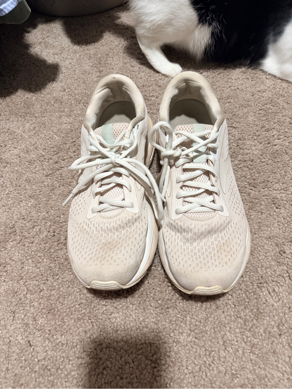Brooks Women's Trace 3